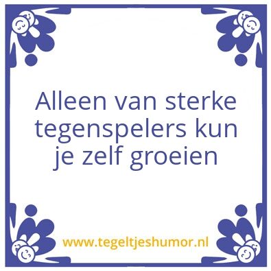 Tegeltje: Wijsheid