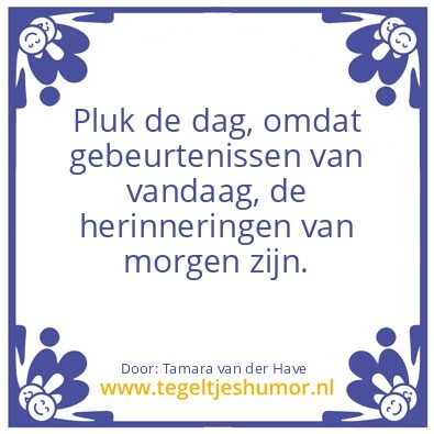 Tegeltje: Pluk de dag!