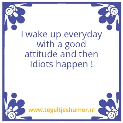 Tegeltje: Idiots