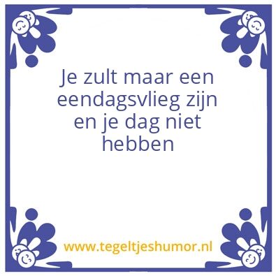 Tegeltje: Eendagsvlieg
