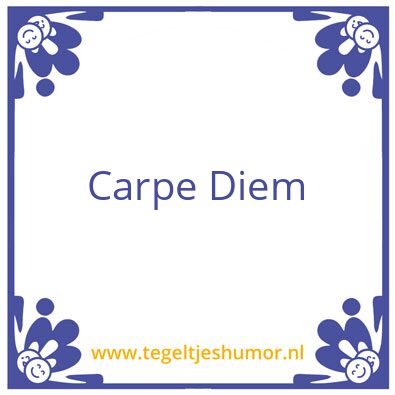 Tegeltje: Carpe Diem