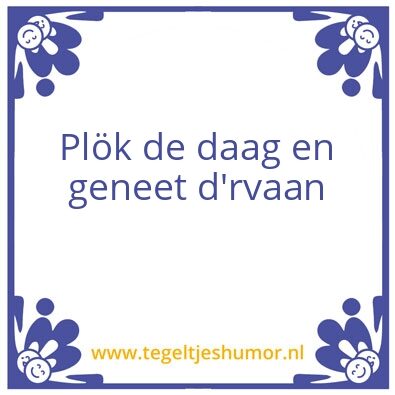 Tegeltje: Carpe Diem