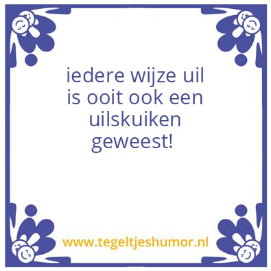 Tegeltje: Uilskuiken