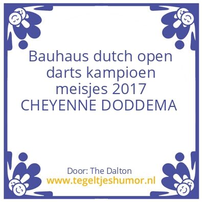 Tegeltje: Darts