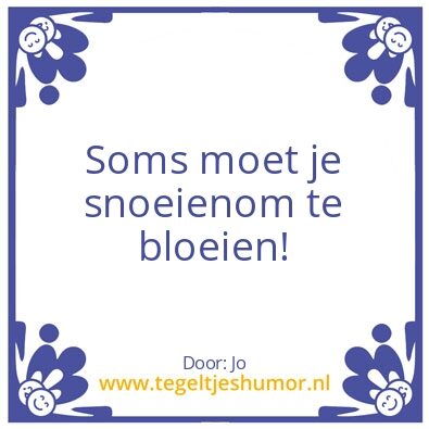 Tegeltje: spreuk
