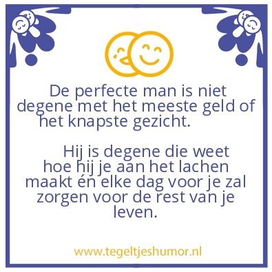 Tegeltje: Perfecte man