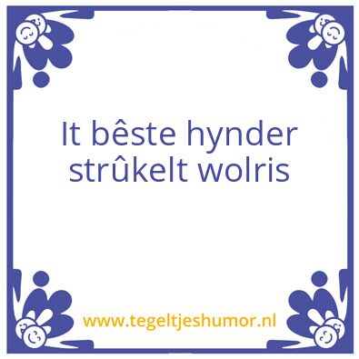 Tegeltje: Floor