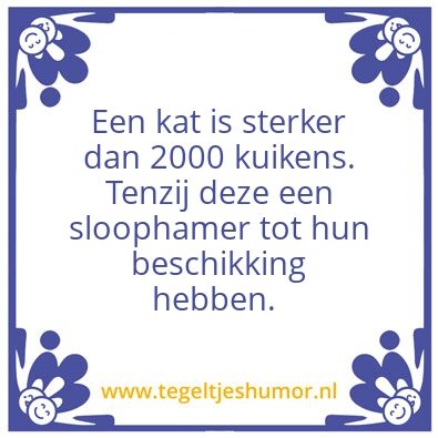 Tegeltje: Eendjes