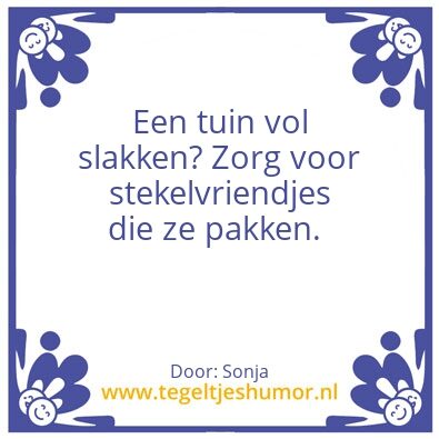 Tegeltje: Egelwijsheid
