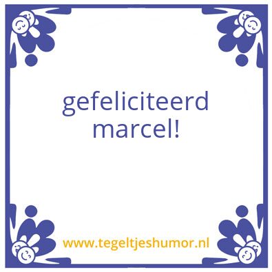 Tegeltje: tegel