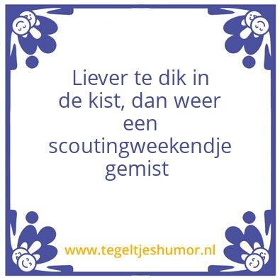 Tegeltje: Scouting