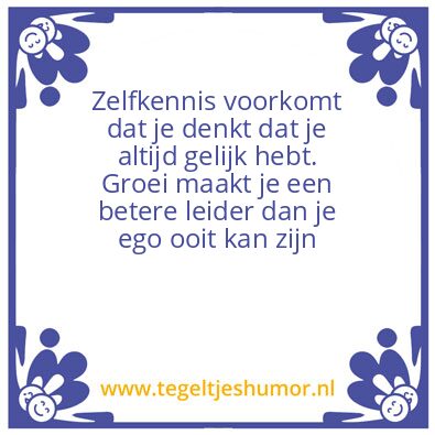Tegeltje: wijsheid