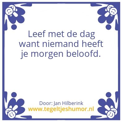 Tegeltje: Tegel