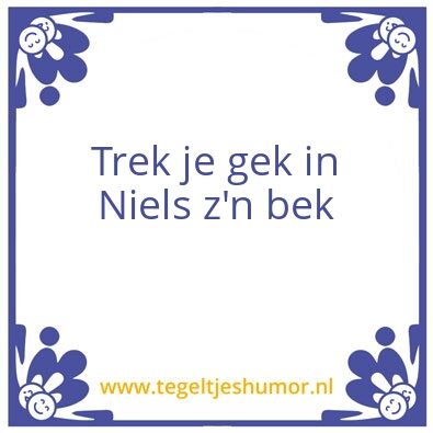 Tegeltje: Niels