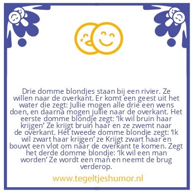 Tegeltje: Domme blondjes