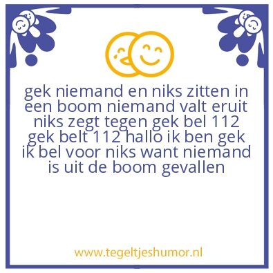 Tegeltje: humor