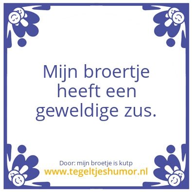 Tegeltje: Geweldige zus