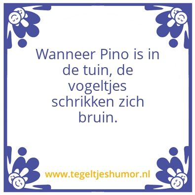 Tegeltje: Pino