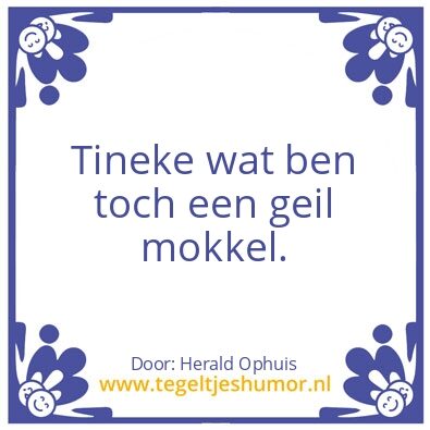 Tegeltje: Bus