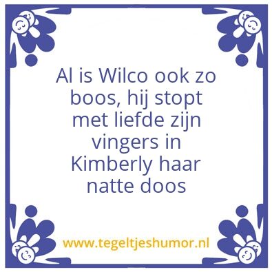 Tegeltje: Wilco