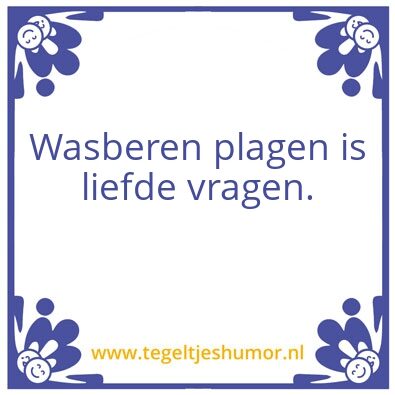 Tegeltje: Wasberen