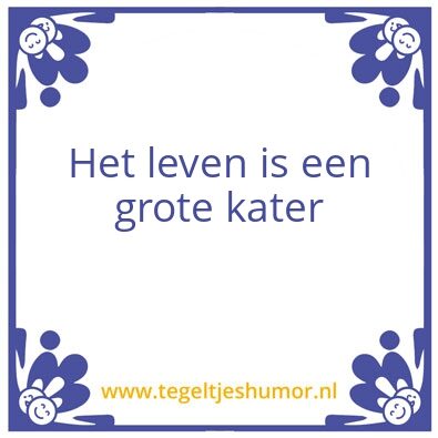 Tegeltje: Kater