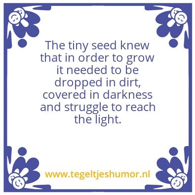 Tegeltje: tiny seed