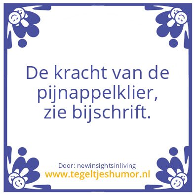 Tegeltje: The power of the pineal gland,