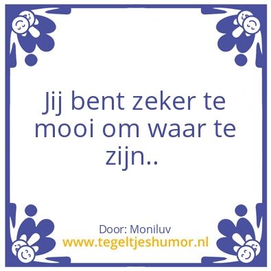 Tegeltje: Sarcastisch