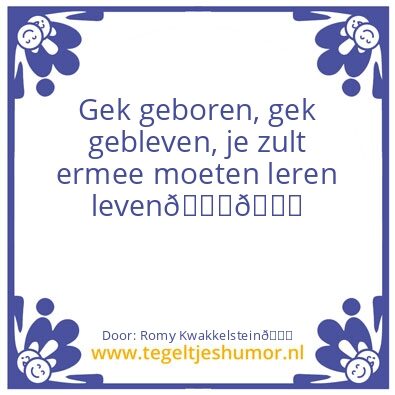 Tegeltje: GEKKðŸ’›