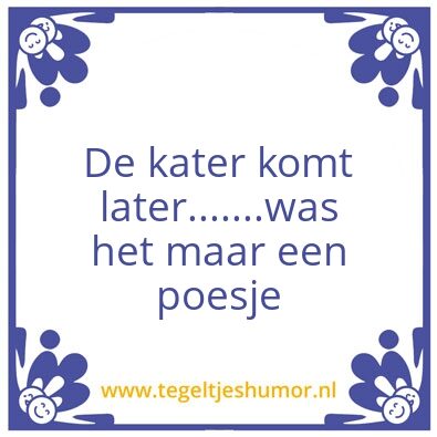 Tegeltje: De kater