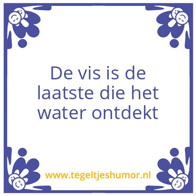 Tegeltje: vis