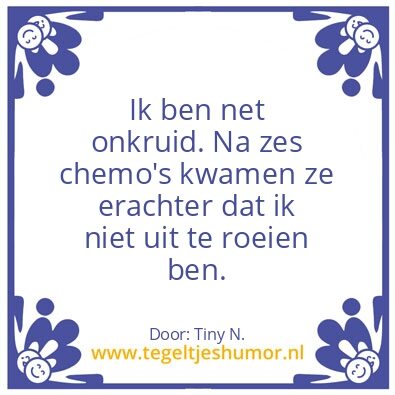Tegeltje: Zeurvaivul of de vittest
