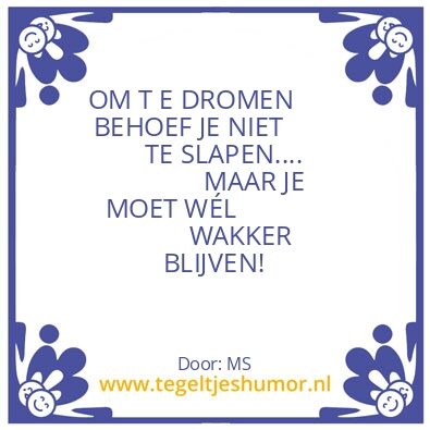 Tegeltje: D R O M E N