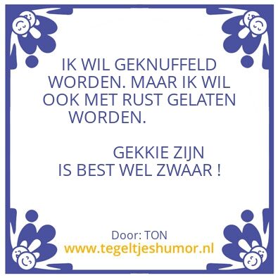 Tegeltje: “WIJSHEID”