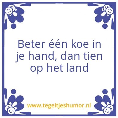 Tegeltje: Koe ik heb je
