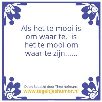 Tegeltje: Theo