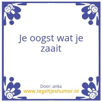Tegeltje: Tinus 1