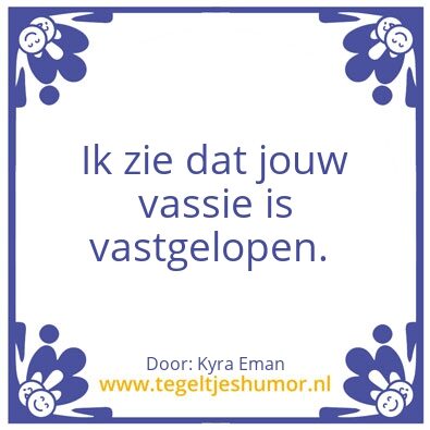 Tegeltje: Vassie
