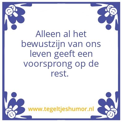 Tegeltje: Adriaan