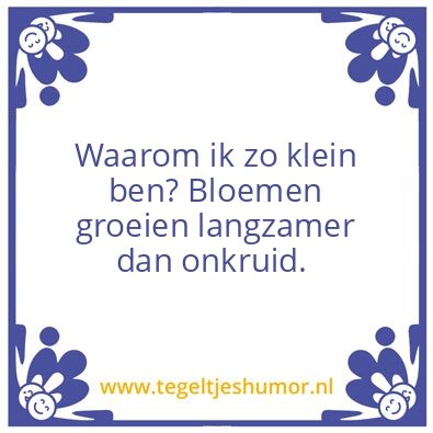 Tegeltje: Klein