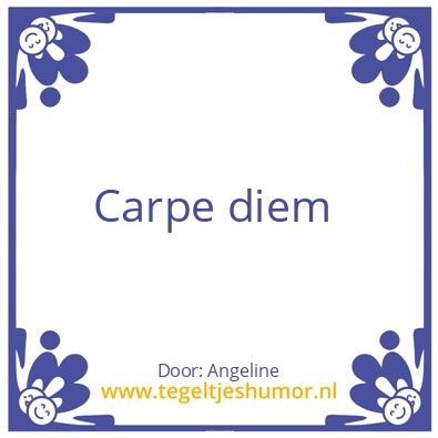 Tegeltje: Pluk de dag