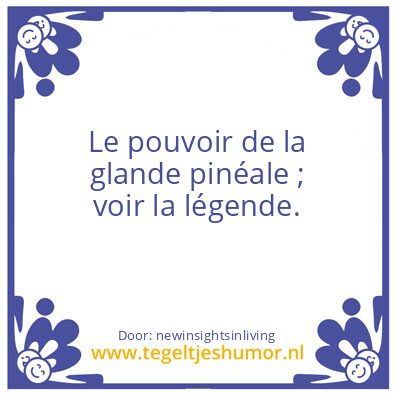 Tegeltje: The power of the pineal gland,