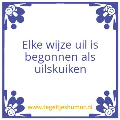 Tegeltje: Uilskuiken