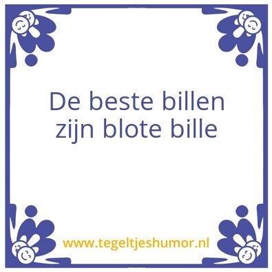 Tegeltje: Wijsheid van Lemmerik