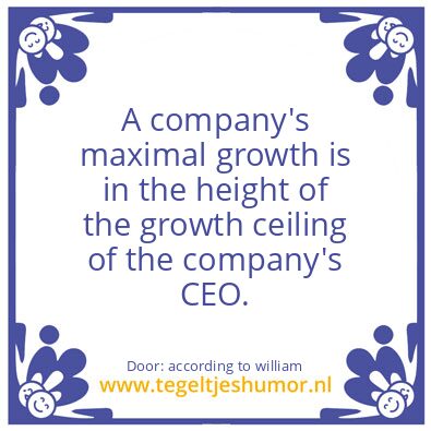 Tegeltje: A company’s maximal growth