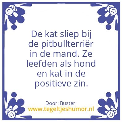 Tegeltje: De kat â€¦