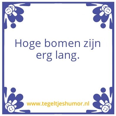 Tegeltje: feit