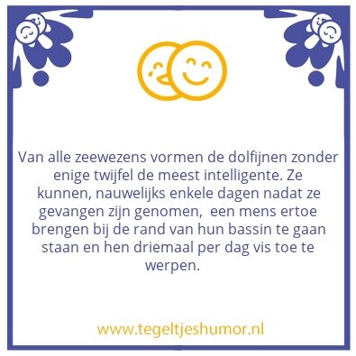 Tegeltje: Dolfijnen