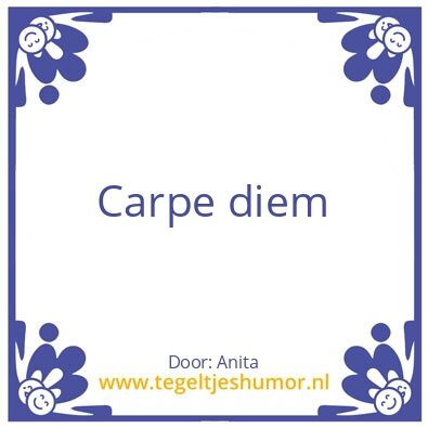Tegeltje: Pluk de dag
